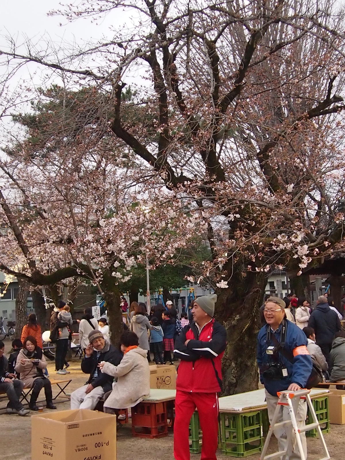 3月の年中行事